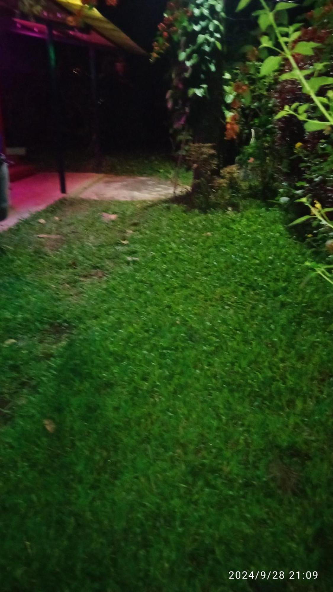 Farmer Homestay 예르카우드 외부 사진